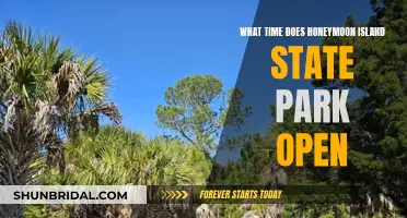 Honeymoon Island State Park: Opening Times and Visitor Information