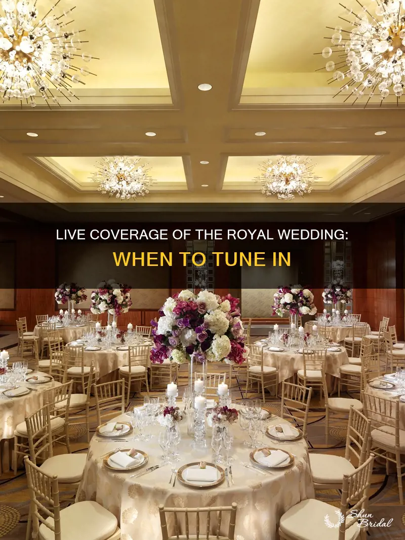 what time does live coverage start for the loyal wedding