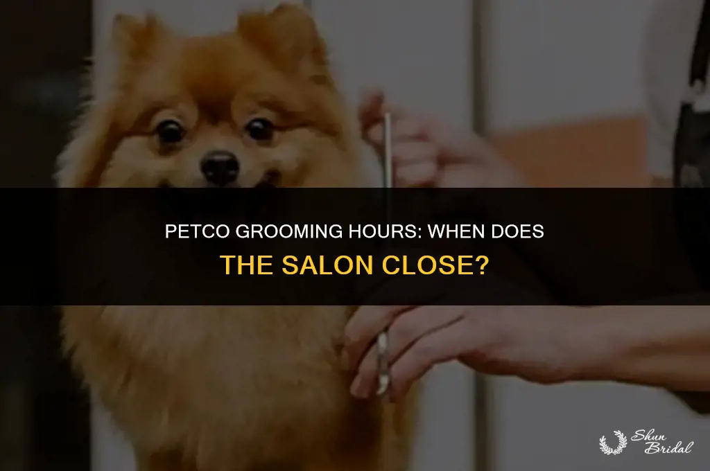 what time does petco grooming close
