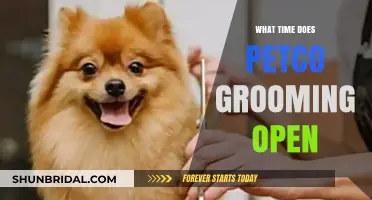 Petco Grooming Hours: When Does the Pampering Begin?