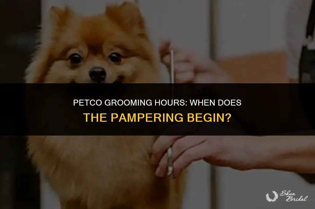 what time does petco grooming open