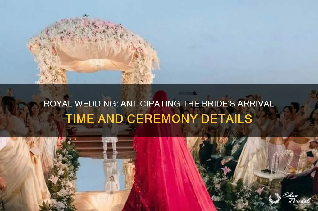 what time does the brifr arrive royal wedding