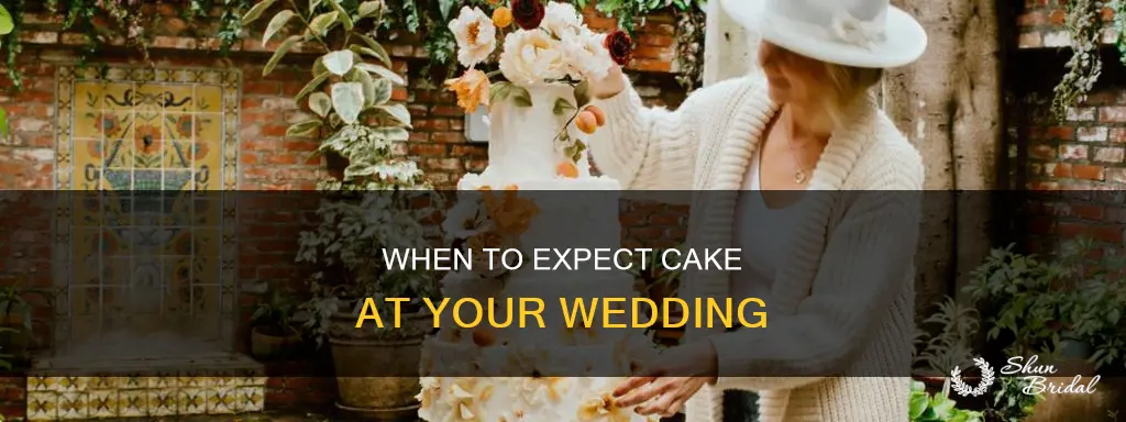 what time does the cake show up at a wedding