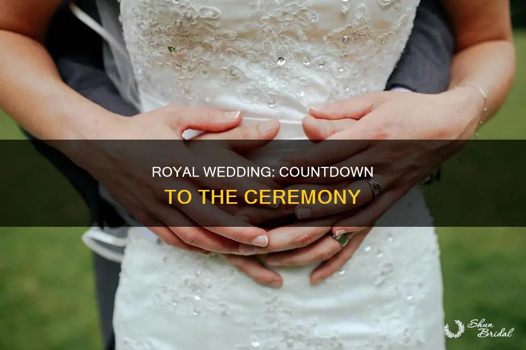 what time does the rotal wedding start