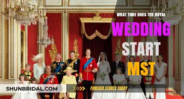 Royal Wedding Start Time: MST Viewing Guide for Fans
