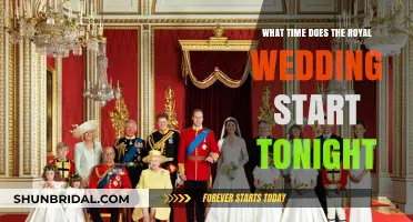 Royal Wedding Tonight: Start Time and Viewing Details Revealed