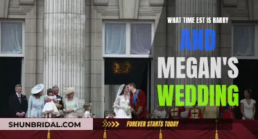 Harry and Meghan's Wedding Time in EST