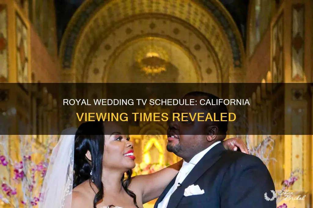 what time in ca is royal wedding tv