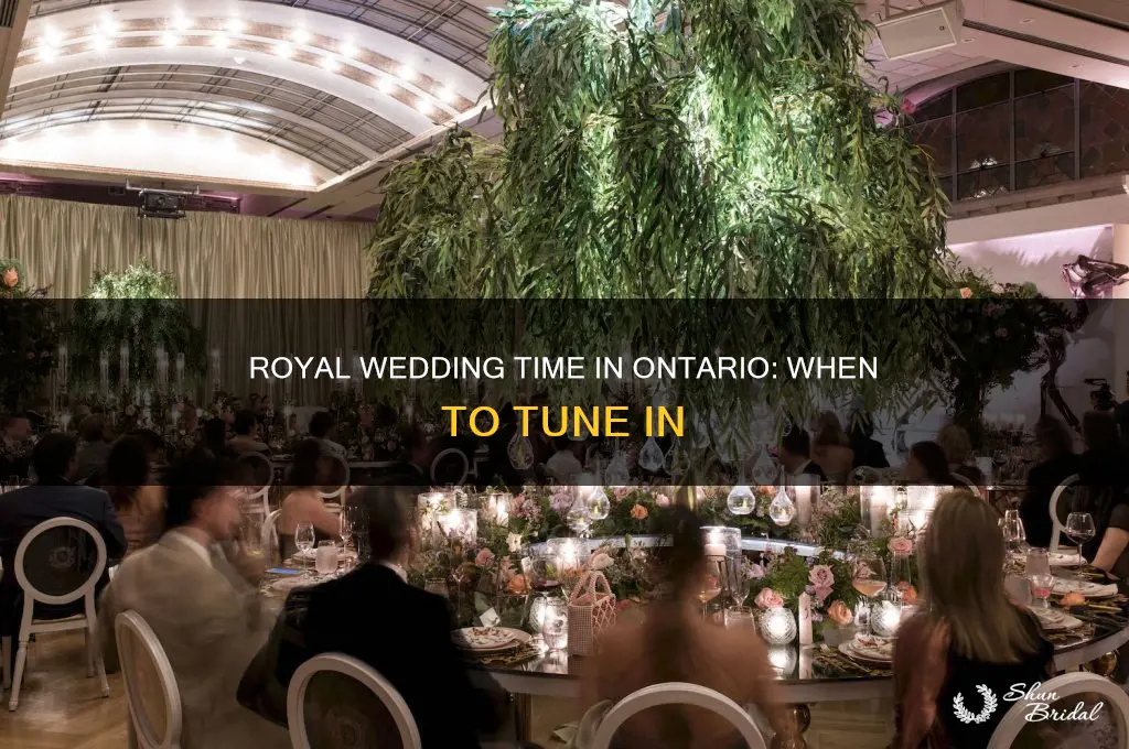 what time in ontario is the royal wedding