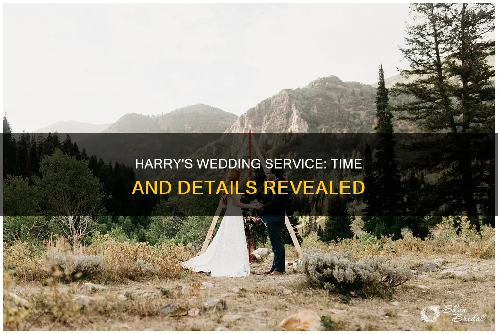 what time is actually the wedding service of haary