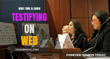 When will Cohen testify?