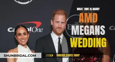 Harry and Meghan's Wedding: Time Revealed