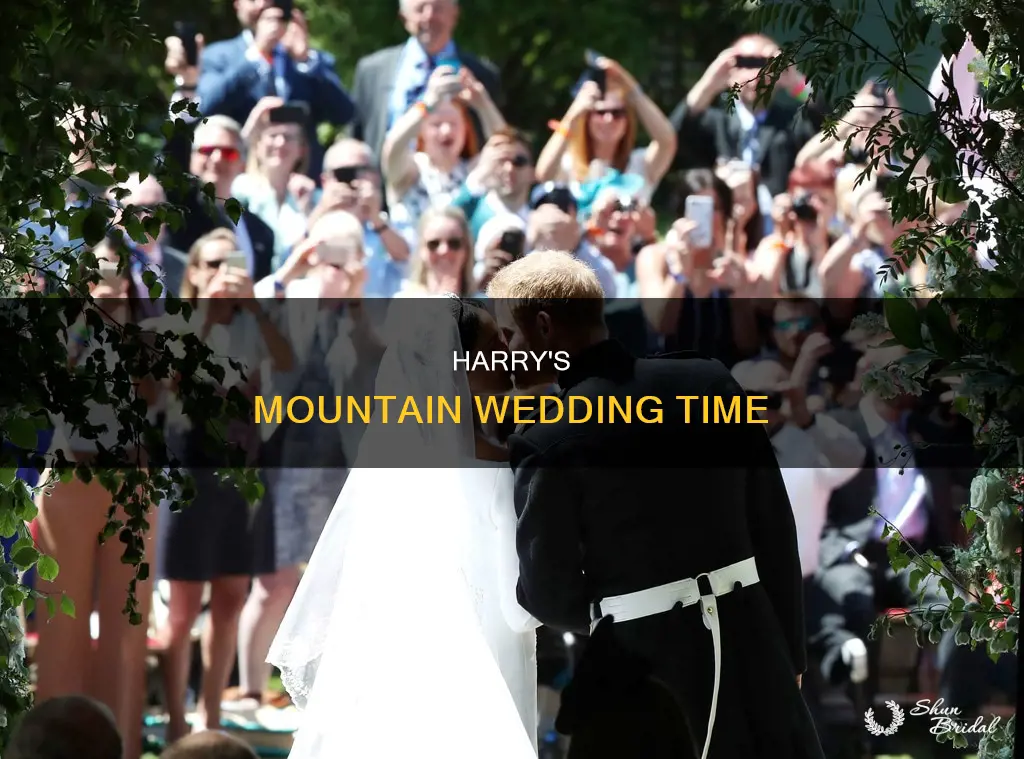 what time is harry wedding mountain standard