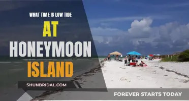 Honeymoon Island's Low Tide Times: A Guide for Visitors