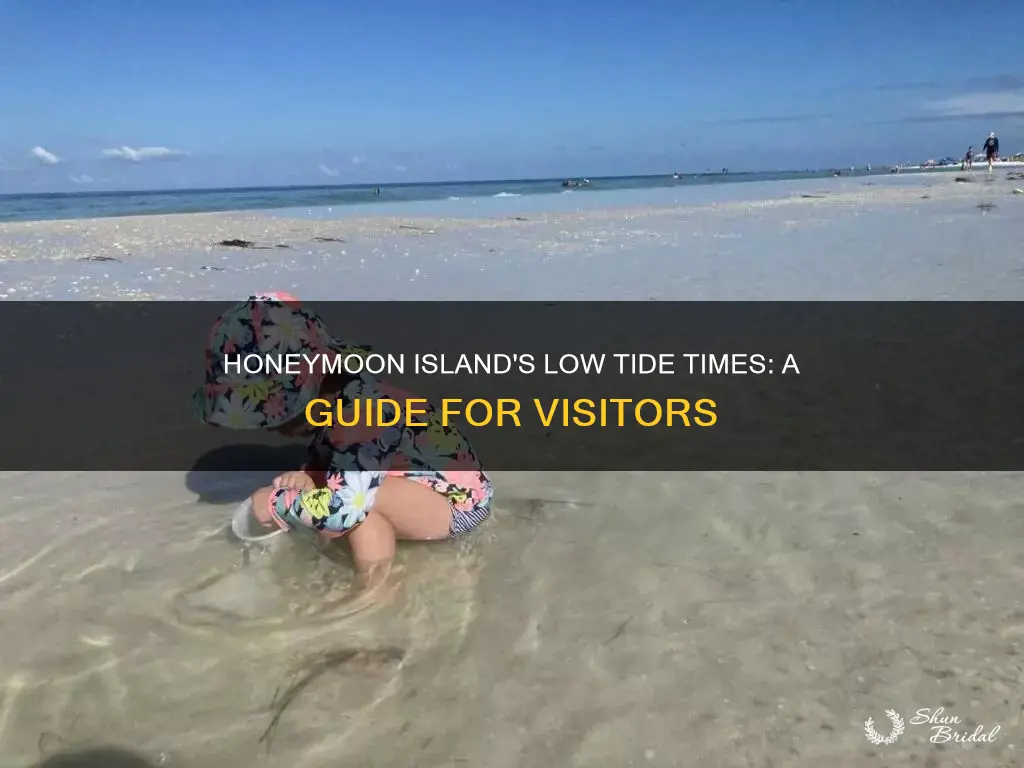 what time is low tide at honeymoon island