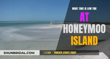 Honeymoon Island Low Tide Times: When to Visit