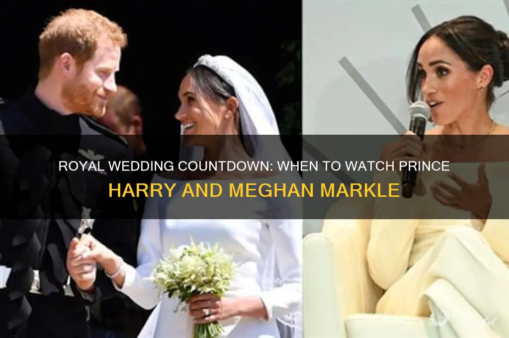 what time is may 19 royal wedding