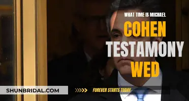 Michael Cohen's Testimony: A Wednesday Schedule