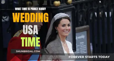 Harry-Meghan Wedding: US Viewing Time