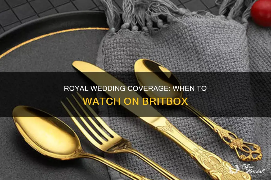 what time is royal wedding coverage on britbox