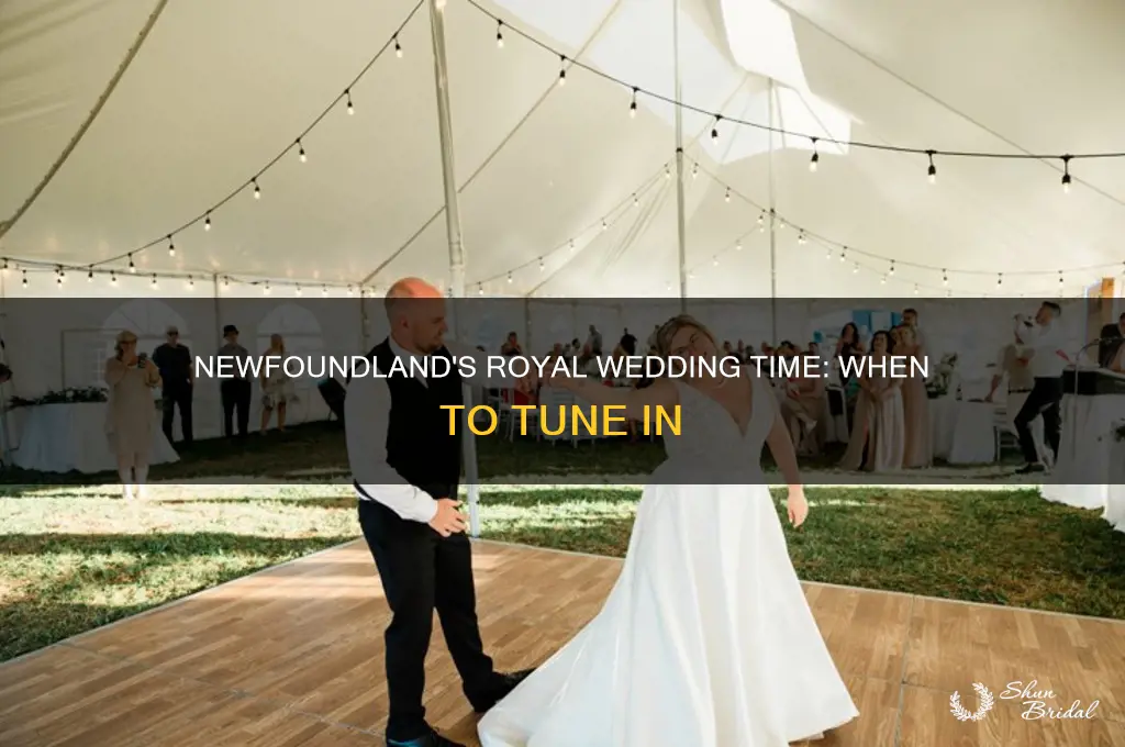 what time is royal wedding in newfoundland