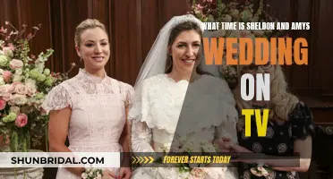 Sheldon and Amy's Wedding: TV Schedule and More