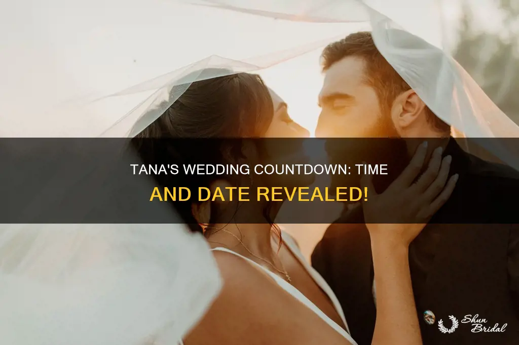 what time is tanas wedding