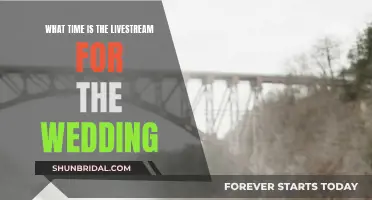 Livestreaming Your Wedding: Timing and Schedules