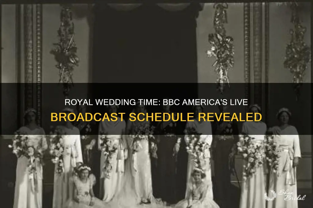 what time is the royal wedding bbc america