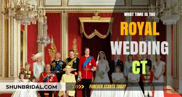 Royal Wedding Countdown: CT Viewing Time Guide for Meghan and Harry