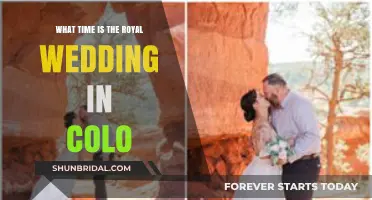Royal Wedding in Colorado: Start Time and Viewing Guide