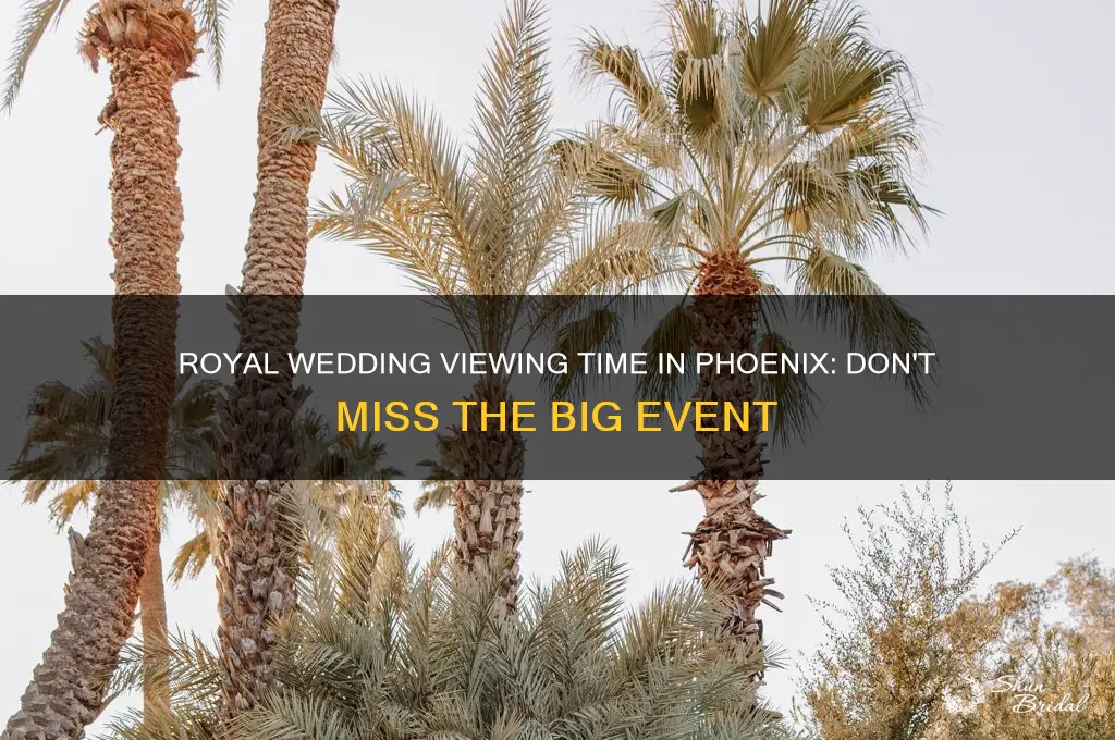 what time is the royal wedding in phoenix