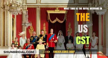 Royal Wedding US Time: When to Watch in CST