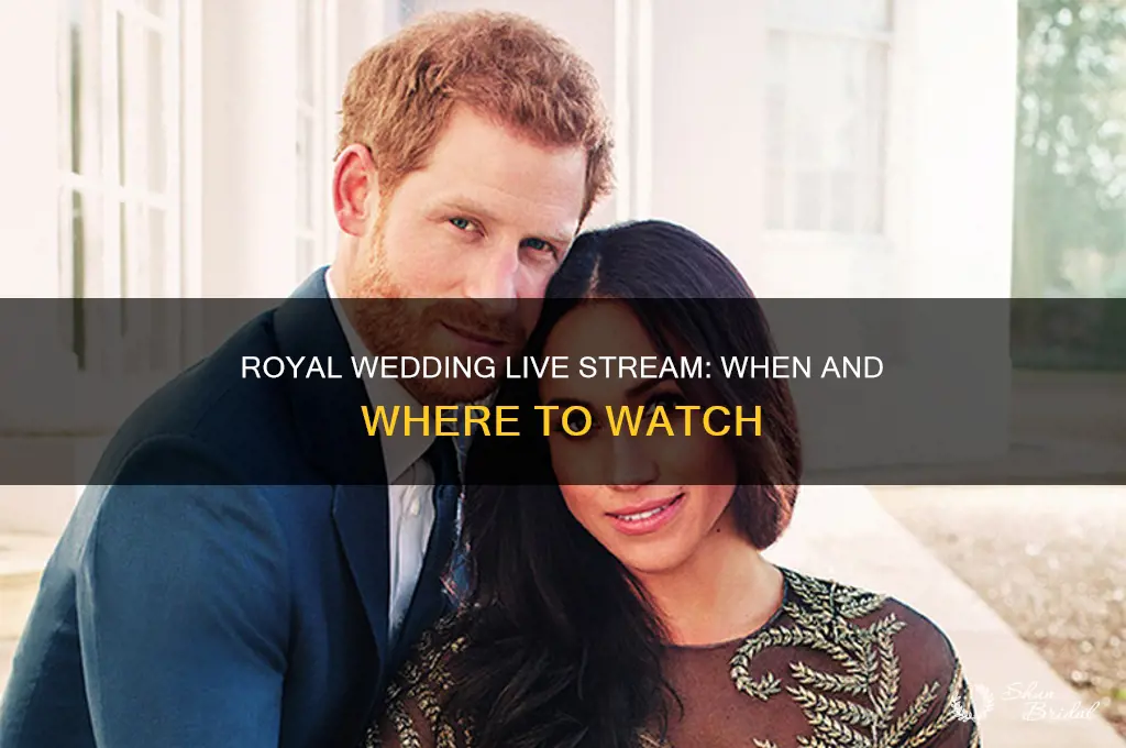what time is the royal wedding live stream