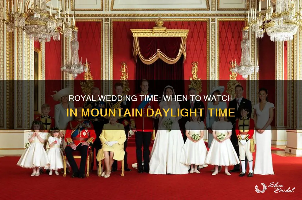 what time is the royal wedding mdt