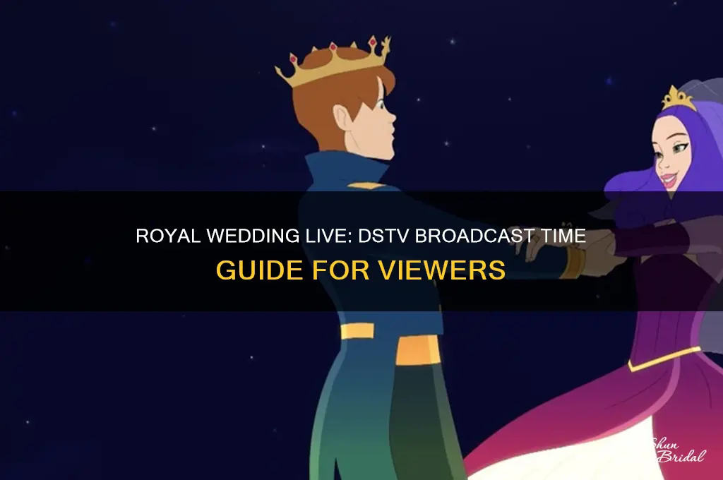 what time is the royal wedding on dstv