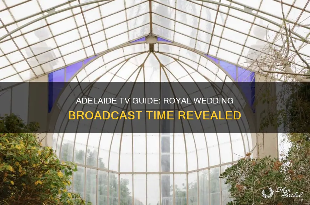 what time is the royal wedding on tv in adelaide