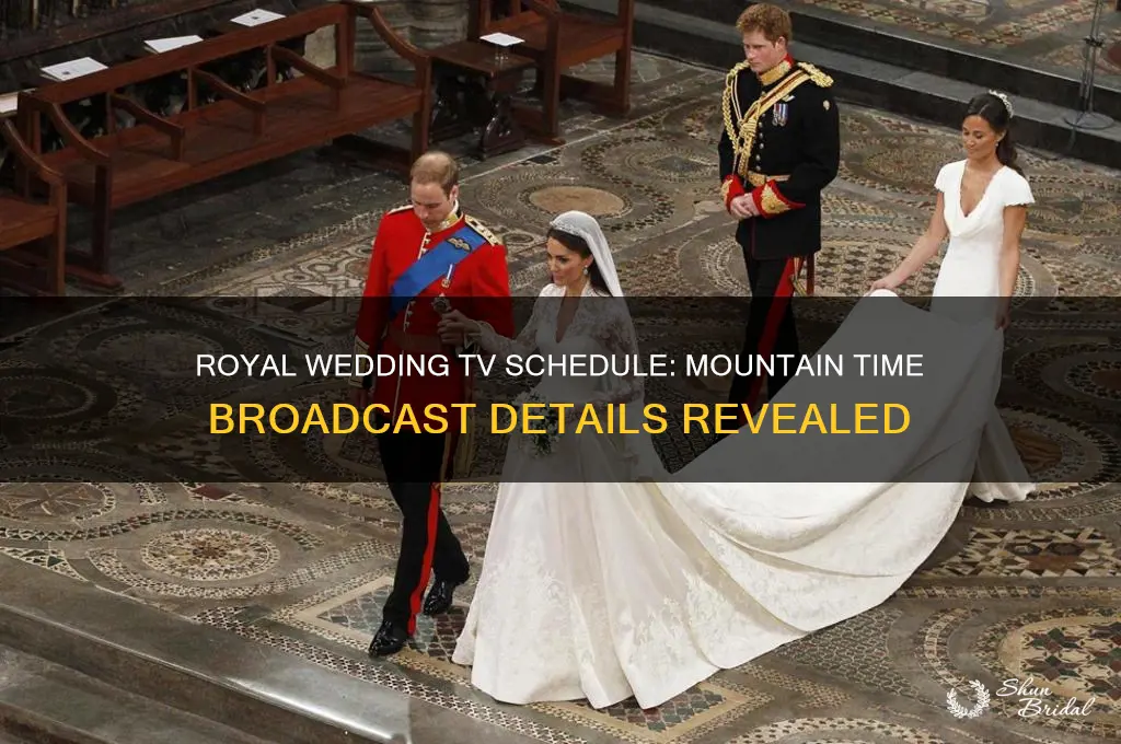 what time is the royal wedding on tv mountain time