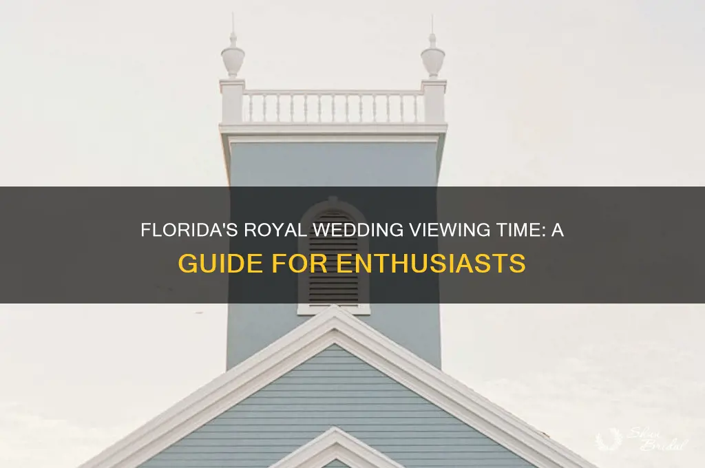 what time is the royal wedding viewed in florida