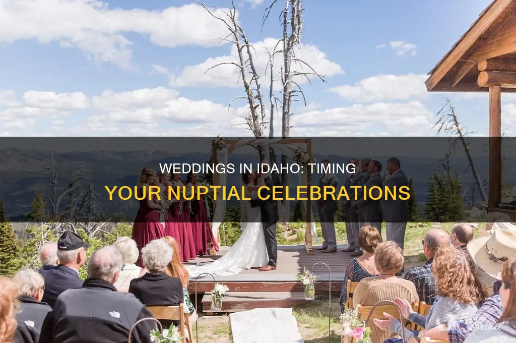 what time is the wedding in idaho