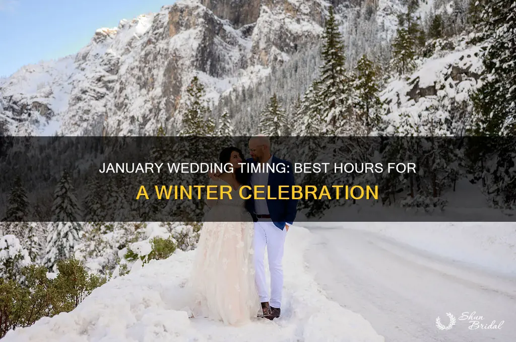 what time of day to have wedding in january