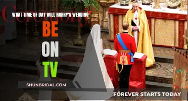 Harry's Wedding: TV Schedule and Timing