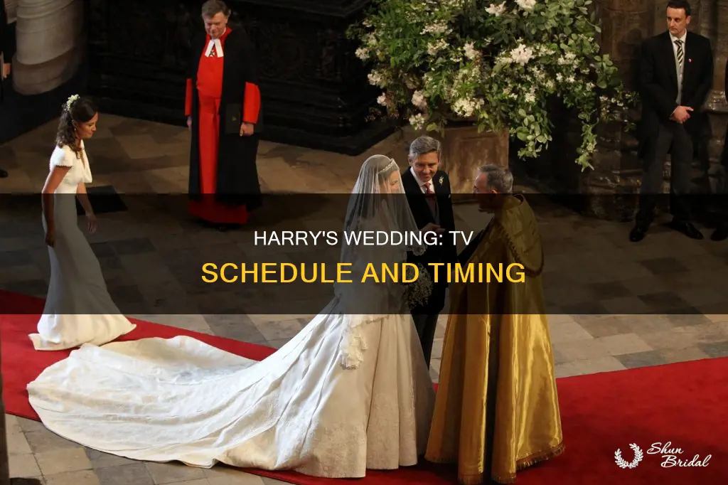 what time of day will harry