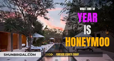Best Time for a Honeymoon: Planning Your Getaway