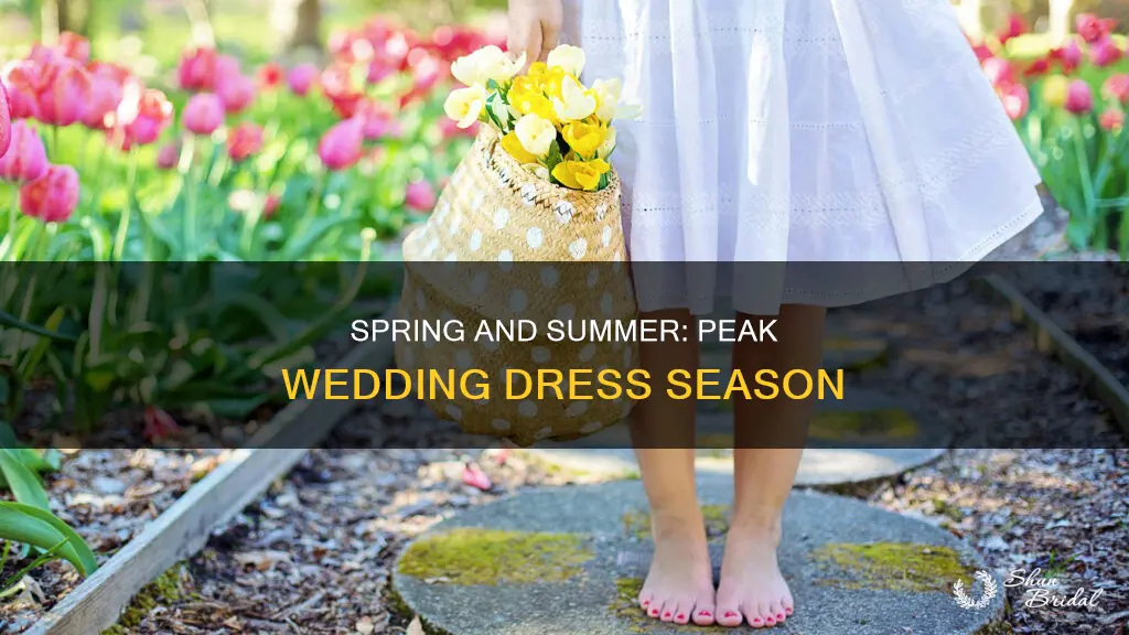 what time of year is wedding dress season