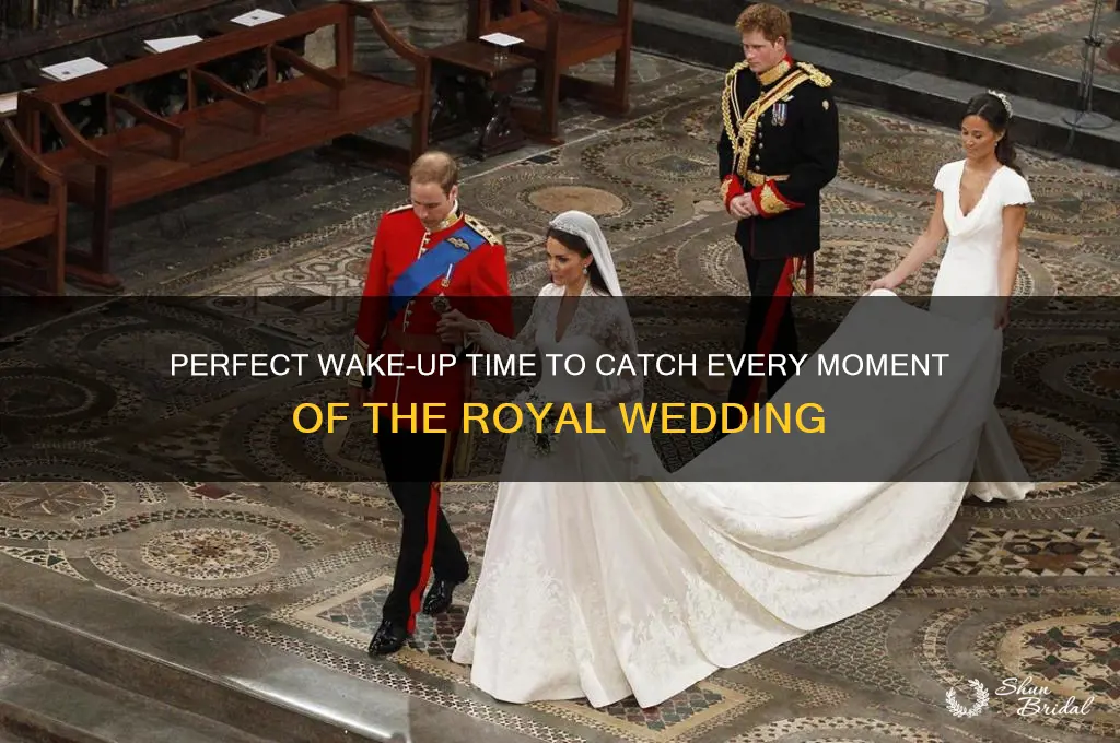 what time should i wake up for the royal wedding