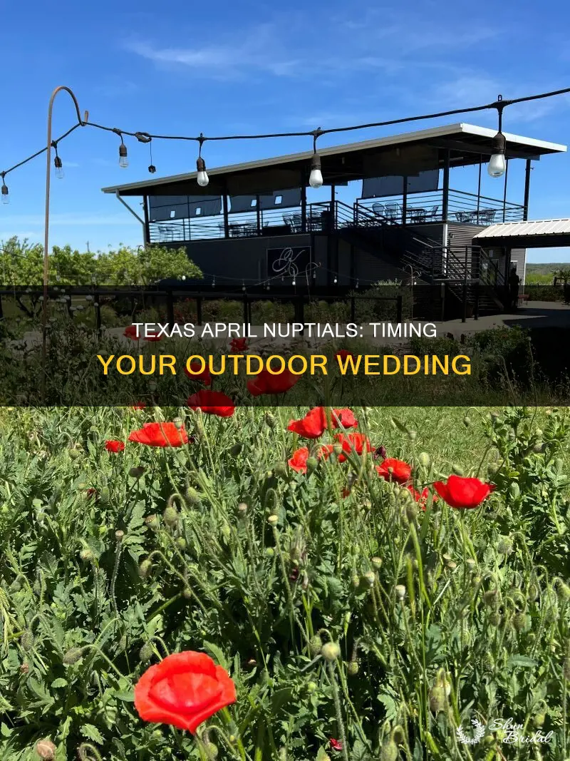 what time should my outdoor texas wedding be in april