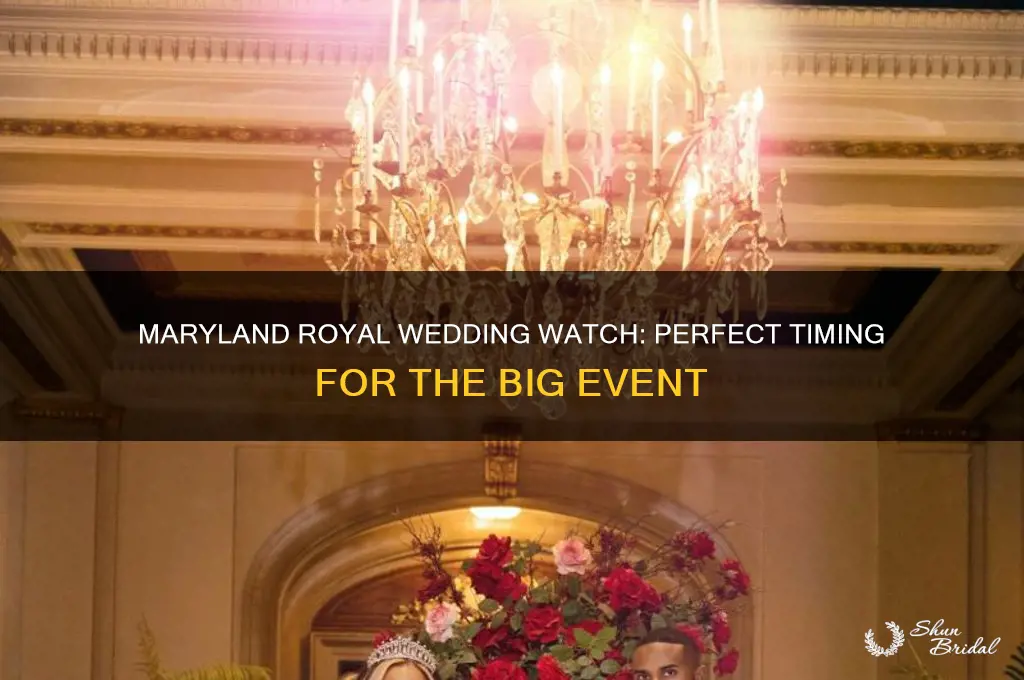 what time to watch the royal wedding in maryland