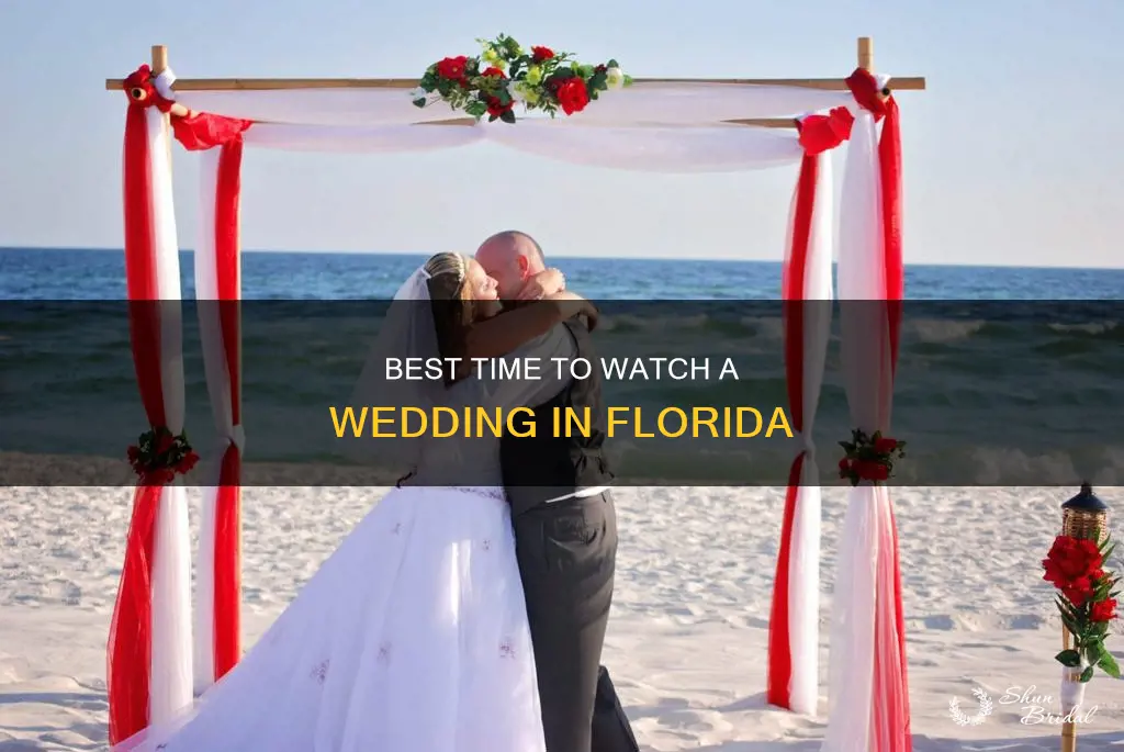 what time to watcht the wedding from florida
