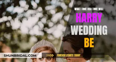 Harry's Wedding: What Time for US Viewers?